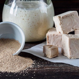Instant Dried Yeast, Baker&#39;s yeast, Granules yeast, Instant Starter, Sourdough starter, dry Malt Fermented culture
