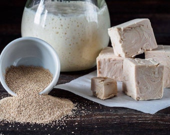 Instant Trockenhefe: Baker's Granulat, Sauerteig-Starter