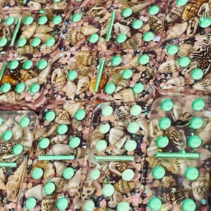 Pink sand beach dominos