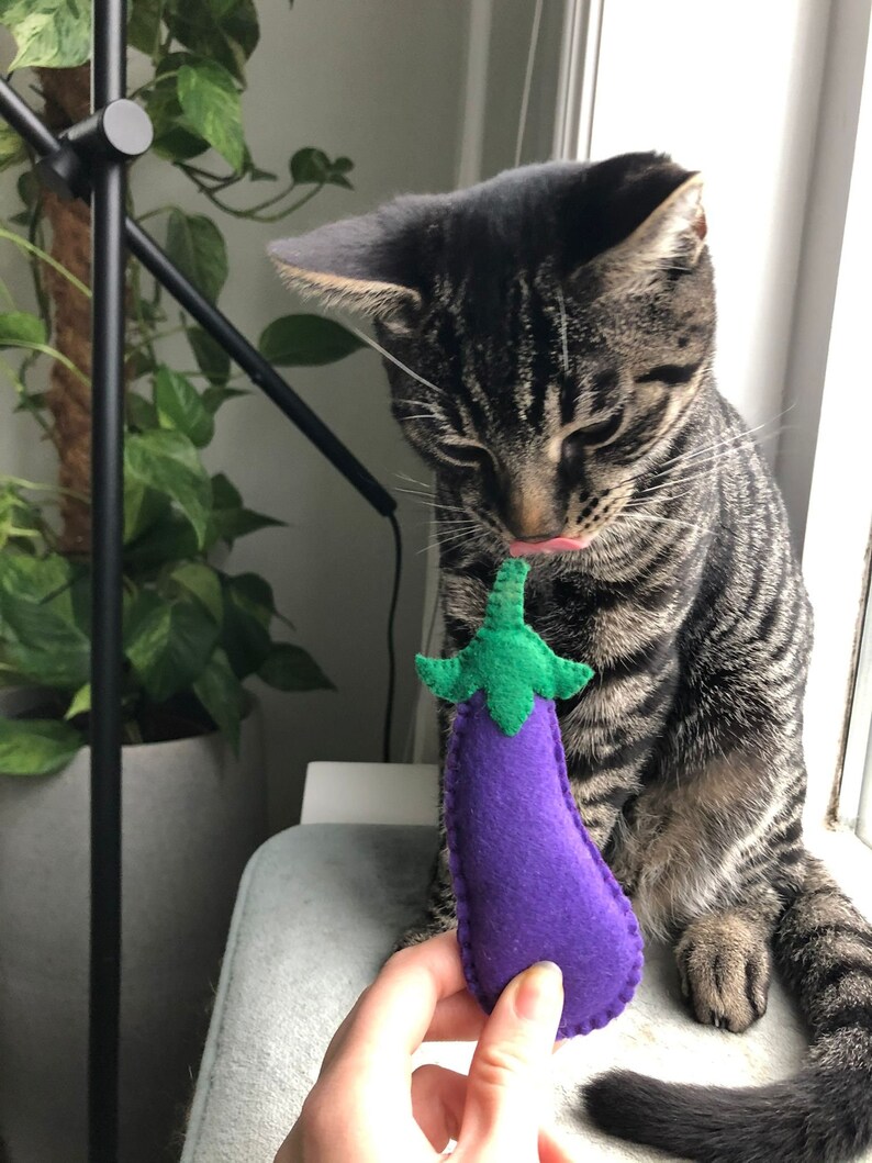 Eggplant cat toy image 3