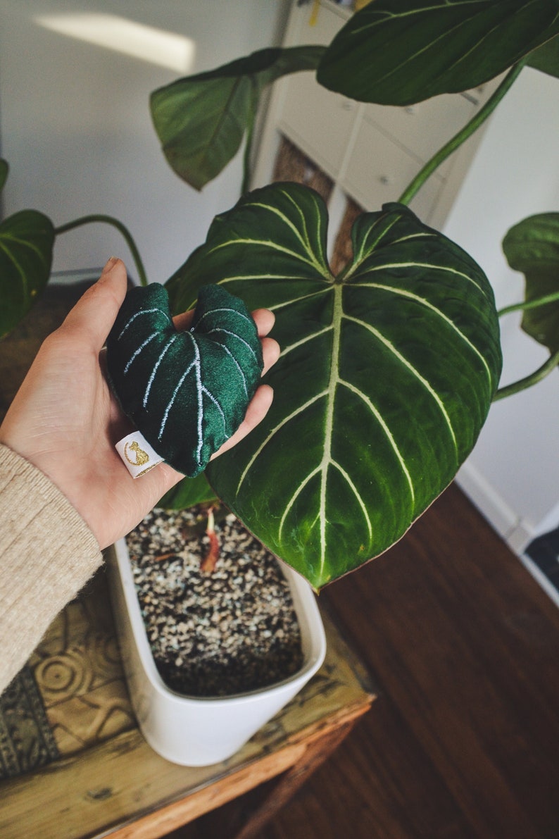 Gloriosum leaf cat toy with valerian afbeelding 2