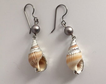 Shell earrings with silver accents. Surgical stainless steel wires