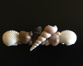 Shell and pearl cabochon barrette in soft sandy colors. Genuine French barrette. 80mm (large) size.