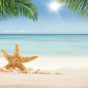 Sommer Meer Strand Fotografie Backdrops, Strand Seestern Conch Backdrop Decor, blauer Himmel Seaside Palmenblätter Hintergrund Vinyl Photo Booth Requisiten