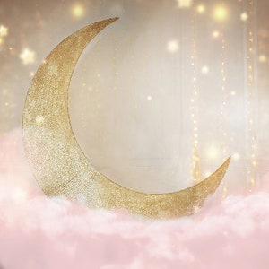 Twinkle Little Star Photography Backdrop,Baby Shower party Vinyl Photo Booth Background,Gold moon Sliver stars Backdrops banner decor