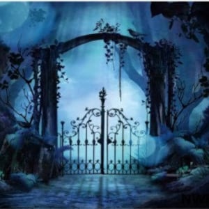 Horror Moon Night Scary Cemetery Pumpkin Lantern Photograph Backdrop,Halloween Background photo Booth Studio,Party Birthday Decor Backdrop