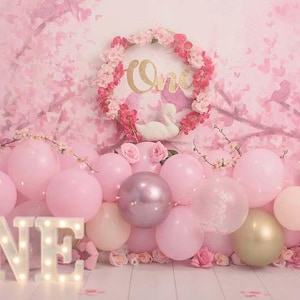 Interiors Pink Photography Backdrop,Baby Shower Newborn kids 1st Birthday Cake Smash Background Photo Booth Studio props,Custom Backdrops