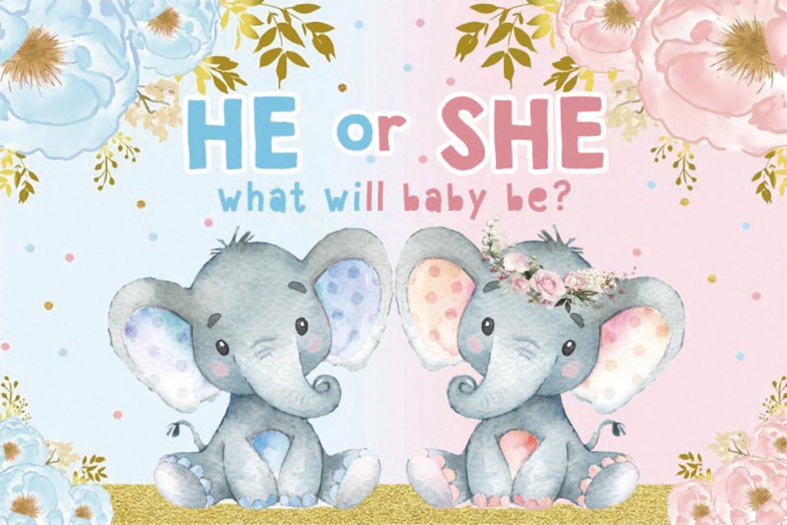 Cute Elephant Gender Reveal Baby Shower He or She Photography Etsy
