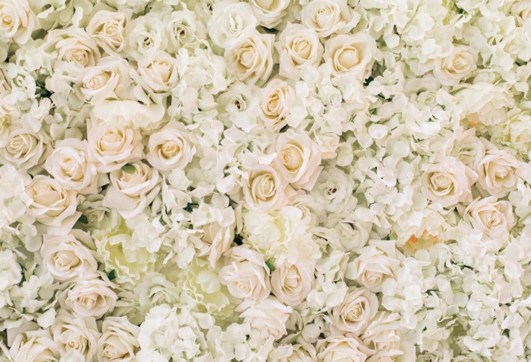 Champagne Rose Flowers Wall Photography Background Wedding Party
