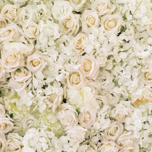 Sfondo fotografico con fiori di rosa champagne, sfondo per feste di matrimonio, sfondo floreale per addio al nubilato, sfondo per photo booth, banner sullo sfondo
