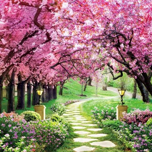 ピンクの花と桜の木の公園の写真撮影用背景、石の道と草のライトの背景バナー、ピンクの背景のビニール製写真ブース用小道具