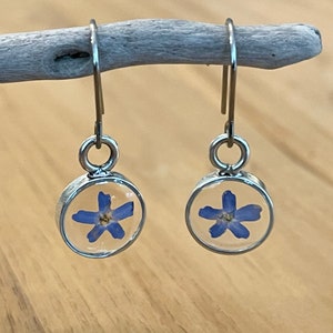 May include: A pair of silver earrings with a small, round, clear resin charm featuring a pressed blue forget-me-not flower.