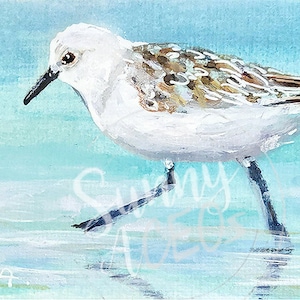 ACEO bird, shorebird, sandpiper, sand piper, Piping Plover Chick, beach bird, seashore, artist trading cards, bird aceo, waves, ocean