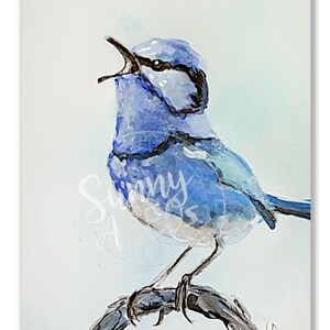 Watercolor Bird Print aceo art card artist trading cards wildlife nature art original splendid fairywren little bird lover gift art wall art