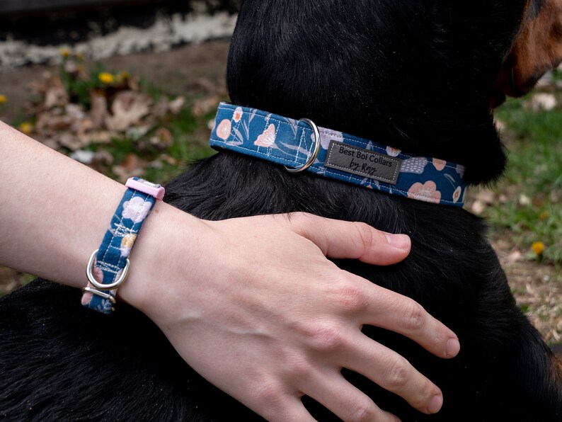 Custom bracelet to match your dogs collar Etsy