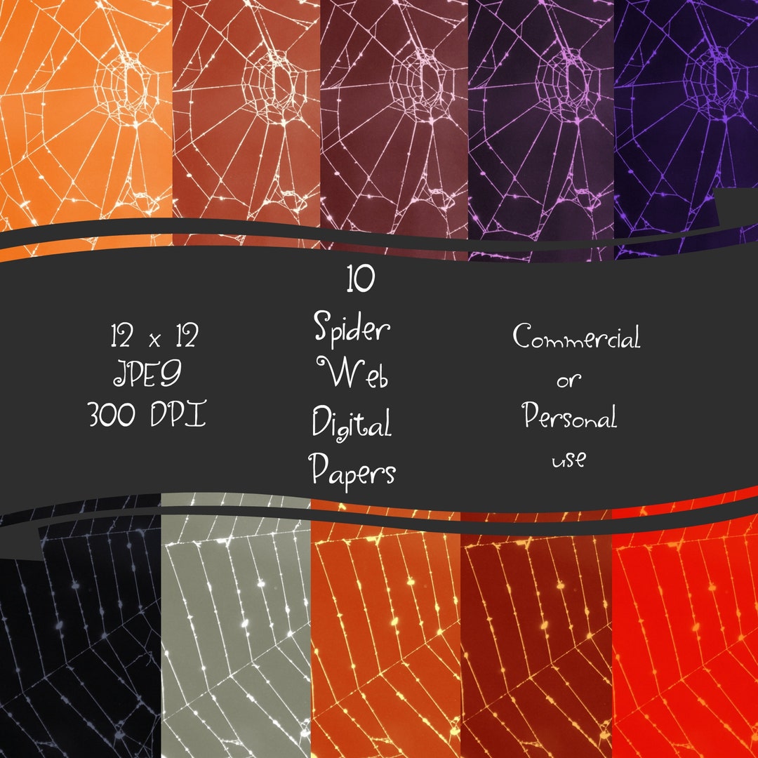 Spider Web Digital Halloween Paper Instant Download 12 X 12 - Etsy