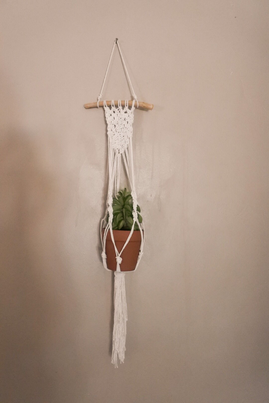 Suspension en Macramé Pour Plante