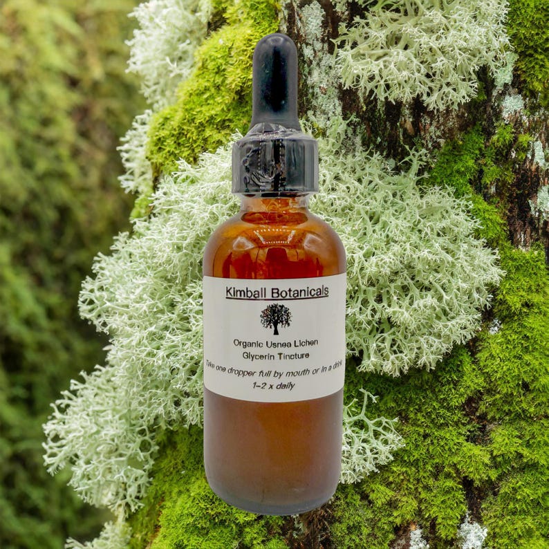 May include: A brown glass bottle with a black dropper, labeled "Kimball Botanicals." The label reads "Organic Usnea Lichen Glycerin Tincture." The bottle is set against a backdrop of green and white moss.