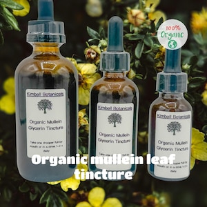 Certified Organic Handcrafted Mullein Leaf Glycerin Tincture double extracted, sustainably harvested NON GMO