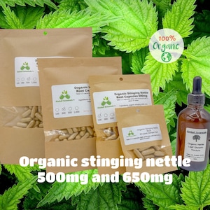 Organic Stinging Nettle Root (Urtica dioica) 500mg or 650mg vegetarian capsules, or nettle leaf tincture, made fresh to order