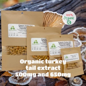 May include: Several brown paper packages of organic turkey tail mushroom extract capsules. The packages are labeled with the product name, dosage, and other information. The text "Organic turkey tail extract 500mg and 650mg" is displayed in white.
