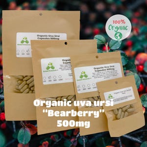Organic Uva Ursi - Bearberry (Arctostaphylos uva-ursi) 500mg Vegetarian Capsules, Made Fresh to Order