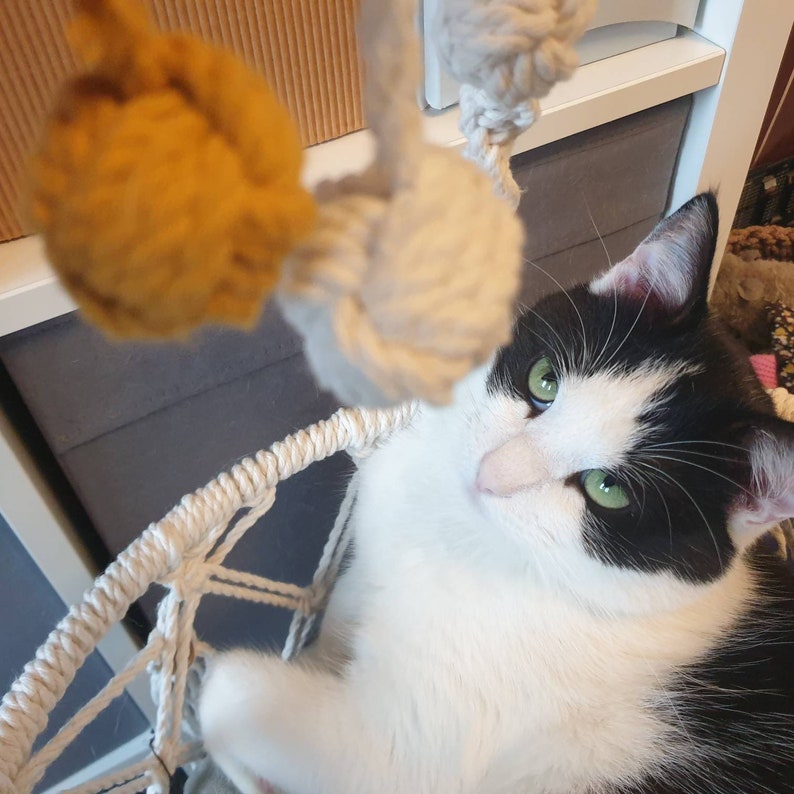 Eco-friendly cat toys, Monkey fist cat toy, gifts for pets, Toy to hunt, cat gift, macrame, cat toy ball, handmade image 3