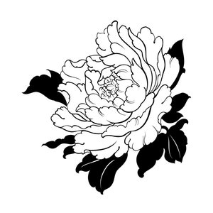 May include: Black and white line art illustration of a peony flower with leaves.