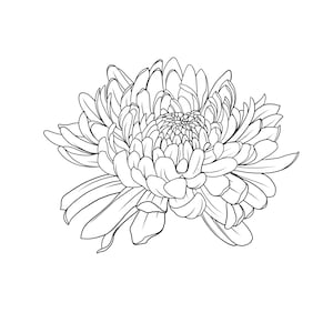 Diseño vectorial de crisantemo de flores japonesas Ai, PDF, SVG, jpg, tatuaje EPS, grabado, estilo grabado en madera
