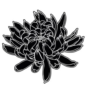 Fiore giapponese crisantemo disegno vettoriale Ai, PDF, SVG, jpg, tatuaggio EPS, acquaforte, stile xilografia