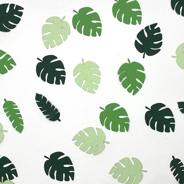 Monstera confetti - Plant Confetti