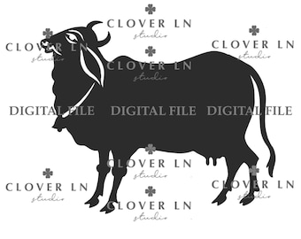 Pichwai Cow Digital File For Cricut, SVG file for Cricut Silhoutte Cameo, Indian pooja decor, Digital file, Gruhapravesam Digital file
