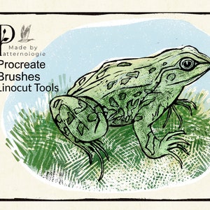 Puede incluir: Una rana verde con marcas negras se sienta en un lecho de hierba verde. La imagen es una ilustración digital con un estilo texturizado dibujado a mano. El texto "Procreate Brushes Linocut Tools" está en la esquina superior izquierda de la imagen.