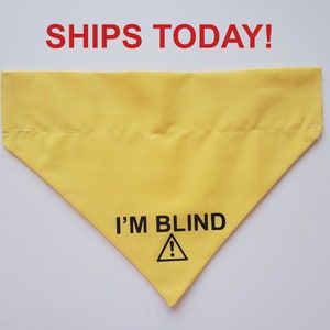 Dog / Cat Bandana Over the Collar For Blind / Deaf Pets Can be personalized