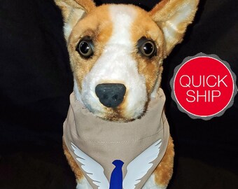 supernatural cat collar