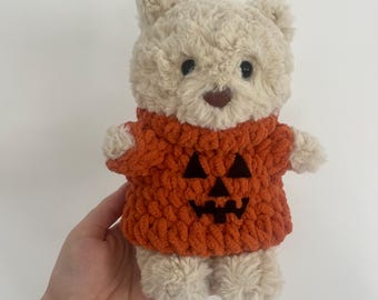 Baby/junior bear outfits