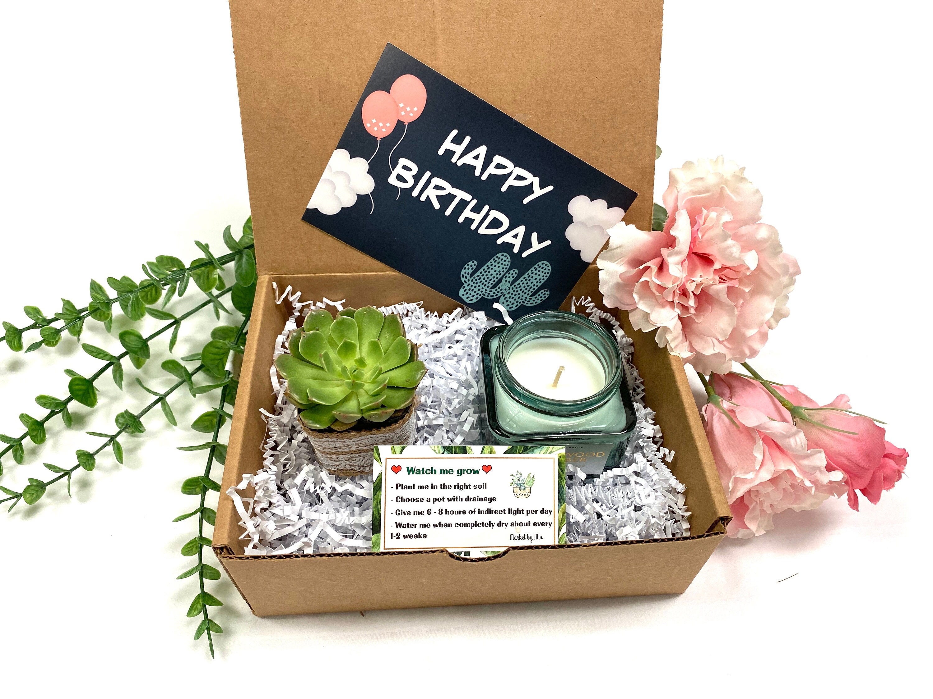 Birthday Gift for Sister, Mom, Grandmother, Soy Candle,live Succulent Gift  for Sister, Birthday Gift for Her,birthday Gift for Her 