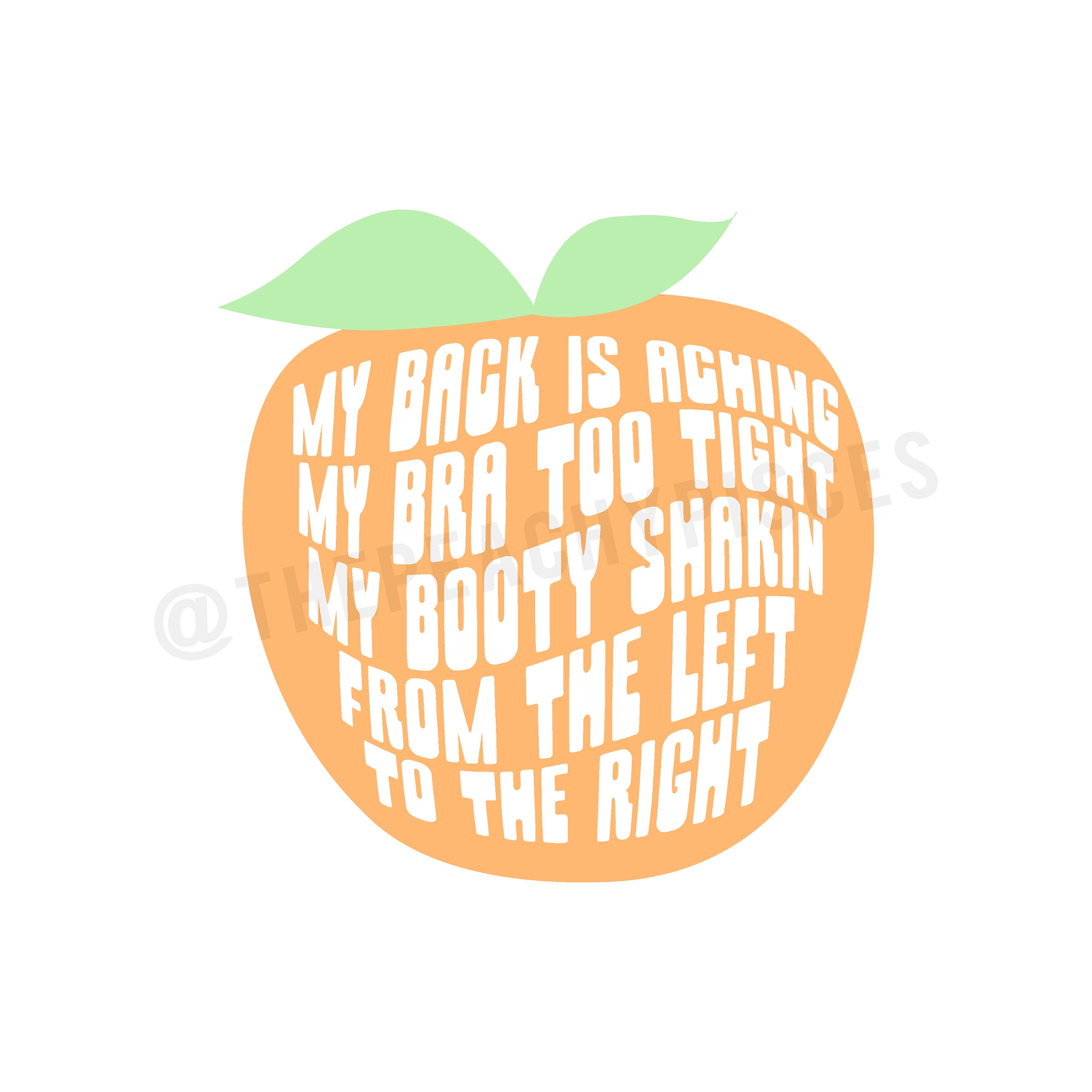 Ciara Lyrics My Back is Aching My Bra Too Tight Peach Multiple Colors  Multicolor SVG Cut File for Cricut -  Ireland