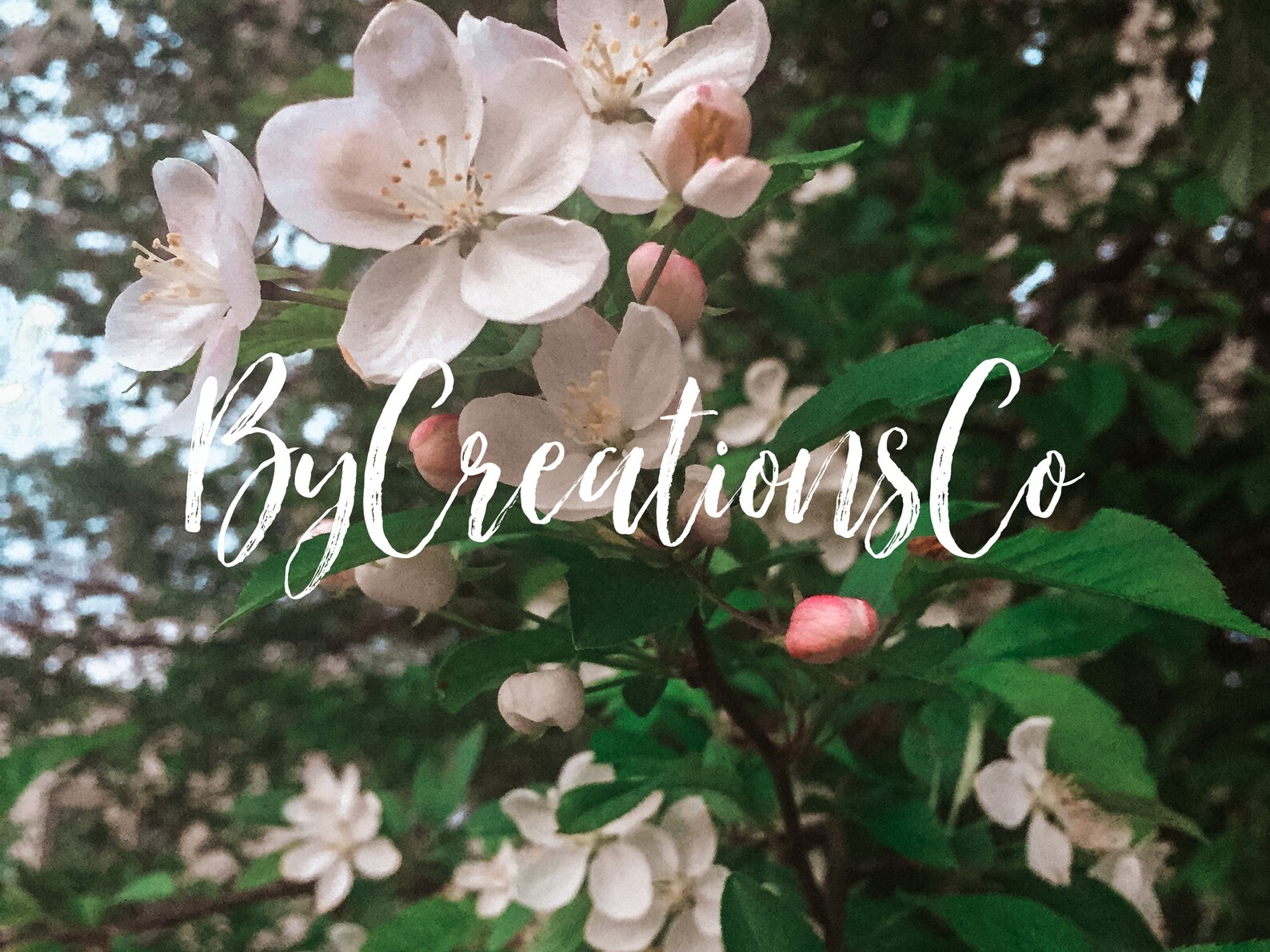 Forever Floral.1stock PHOTOS Etsy