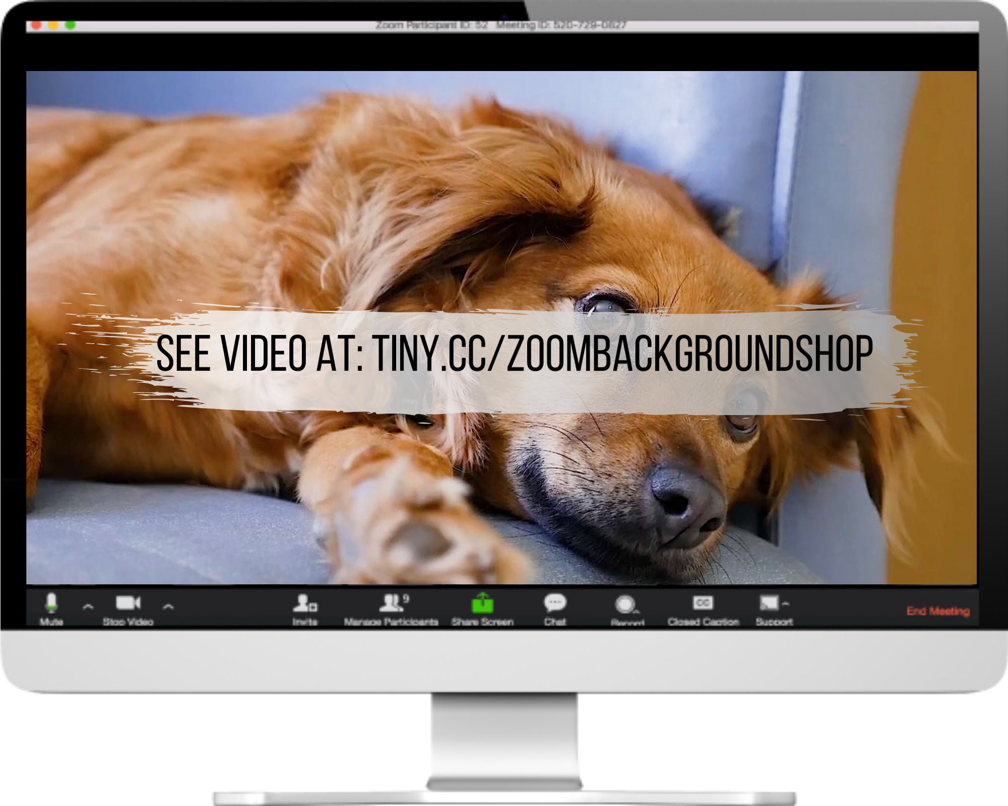 Zoom Dog Video Background I High-quality Virtual Background for Online ...