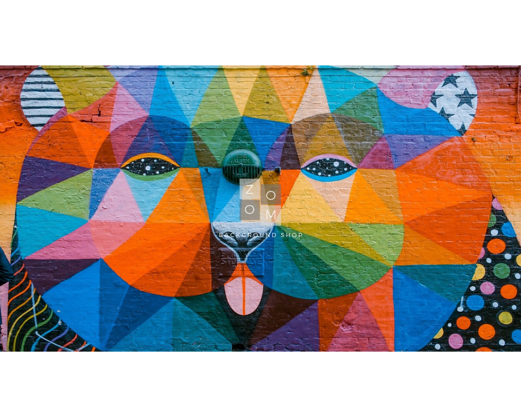 Zoom Backgrounds Graffiti Wall 5 Backdrop Images for Online Zoom
