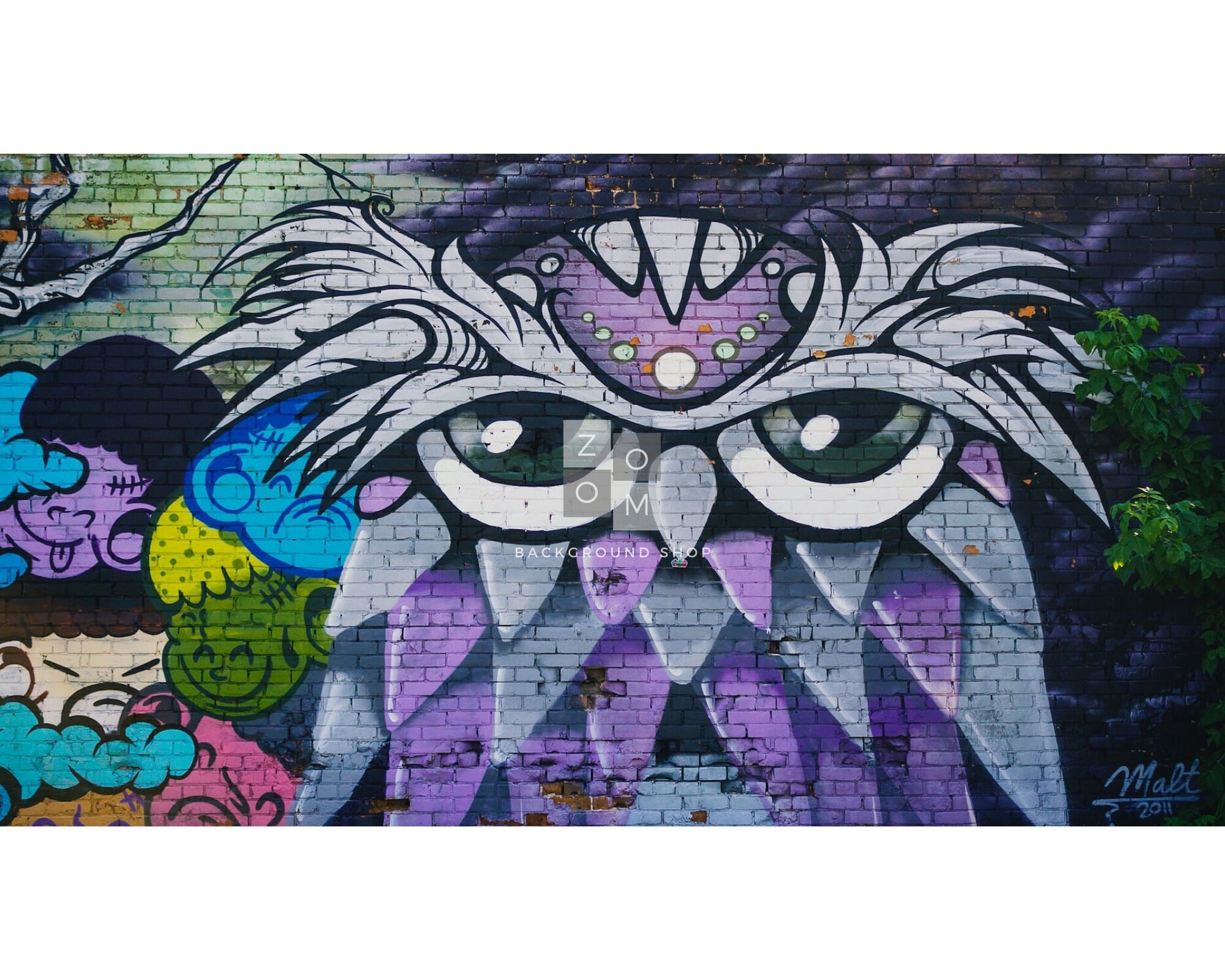 Zoom Backgrounds Graffiti Wall 5 Backdrop Images for Online Zoom