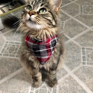 Kattenbandana; Rood wit geruit geruit flanel, kittenkraag over de kraag accessoire schattig herfst