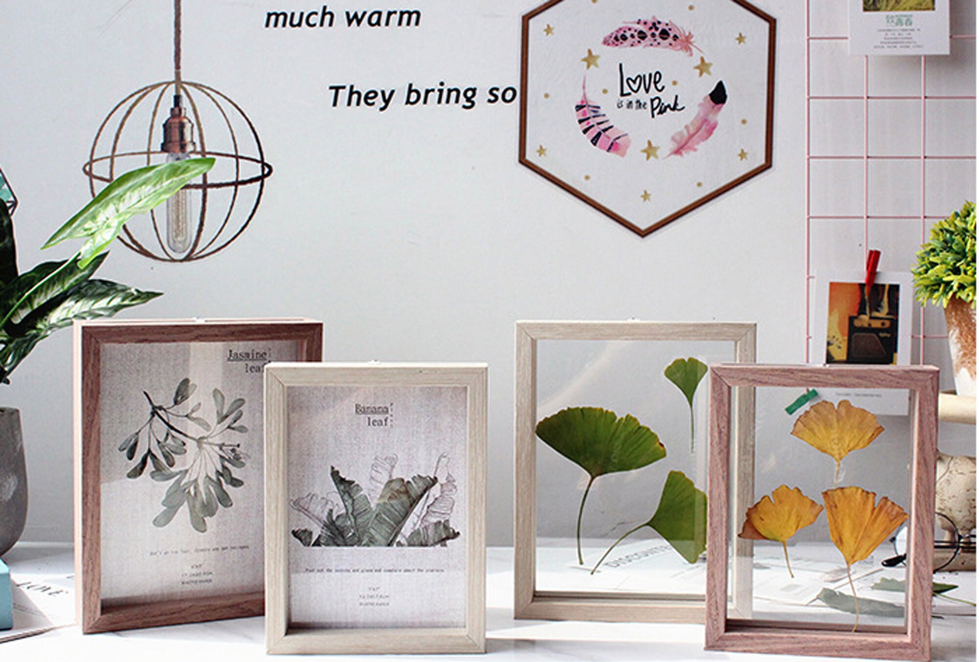 Double glass photo frame picture frameslicense plate Etsy