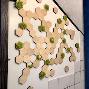 Arte de pared hexagonal de madera y musgo, azulejos de pared hexagonales, decoración de pared hexagonal, panel de pared de panal, arte de pared de musgo hexagonal, paneles de pared de musgo,