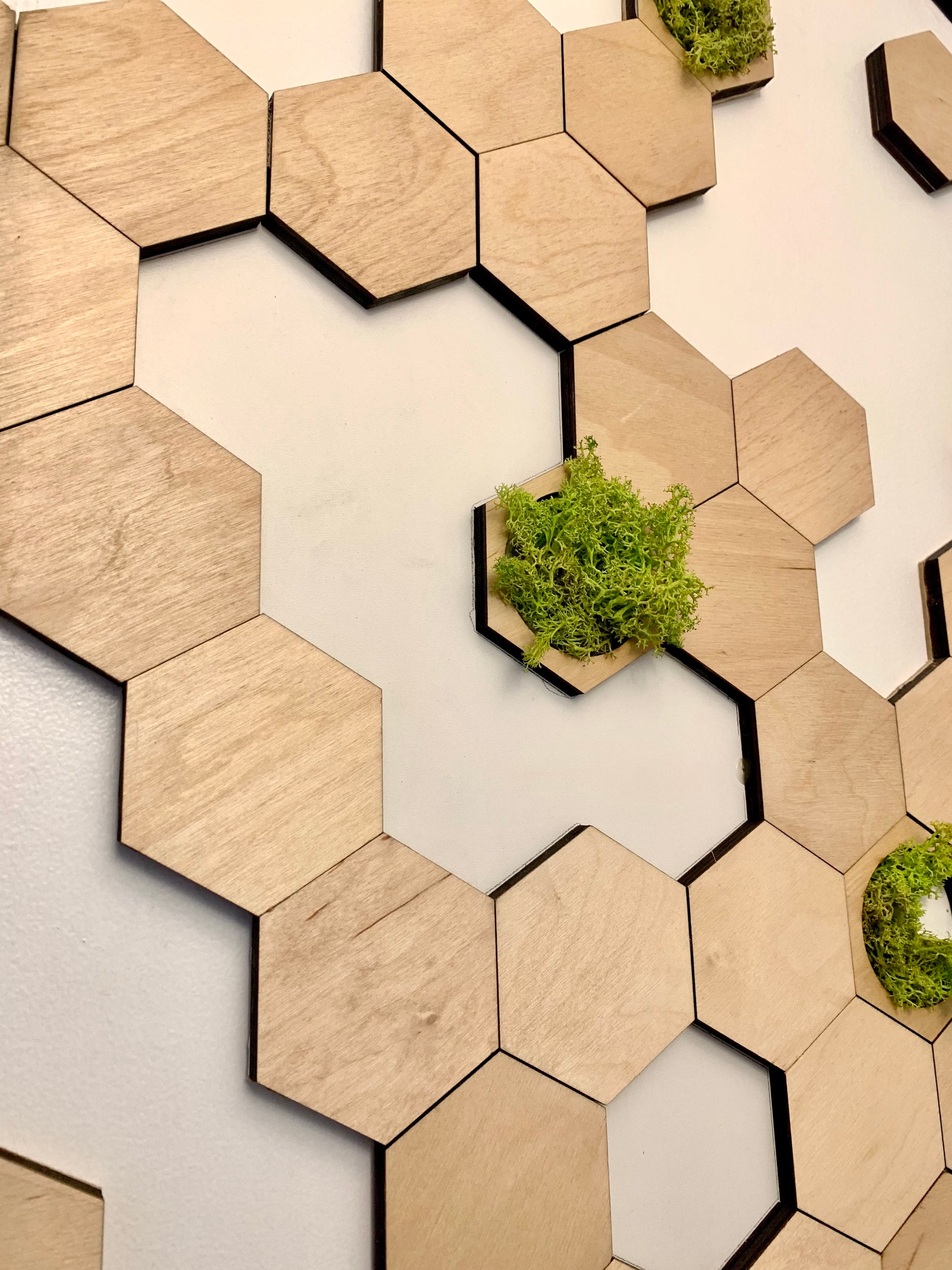 Hexagon Wood And Moss Wall Arthexagon Wall Tiles Hexagon Wall Decor Honeycomb Wall Panel Moss 