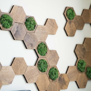 Moss Hexagon Wall Art: Wooden Honeycomb Tiles, Customizable Decor