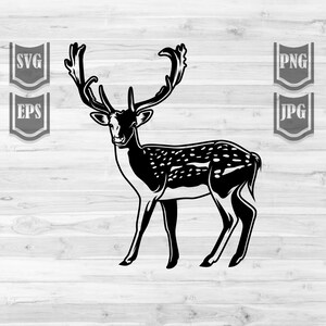 Hirsch Illustration || Svg Datei || Hirsch Tier Clipart || Hirsch wald Svg || Hirsch Svg || Hirsch Clipart || Schneidedateien