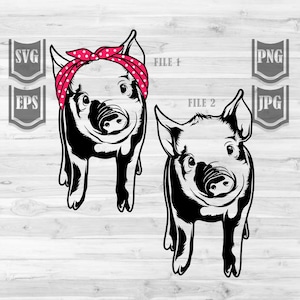 Pig svg | Cute Pig Clipart || 2 Designs | Farm Pig Svg || Pig Svg || Pig Png || Farm Animal Svg | Pig Png | Pig Illustration | Cutting Files