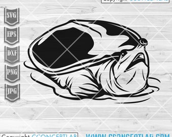 Soft Shell Turtle svg | Reptile Clipart | Home Pet Stencil | Aquarium Animals Stencil | Safari Life Cutfile | Zoo Crew dxf | Zookeeper Gift
